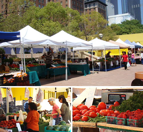 Farmer's Market Farmer's Market