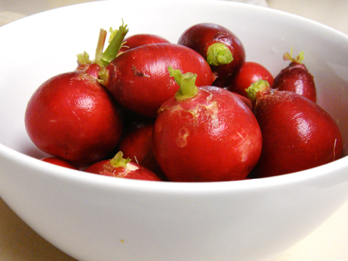 radish radish
