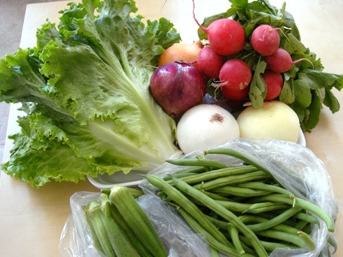 vegees vegees