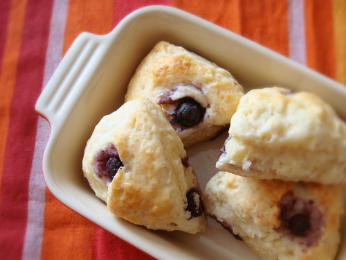 Blueberry Scone Blueberry Scone