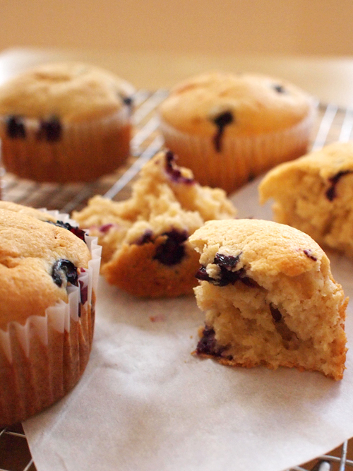 Blueberry Muffins Blueberry Muffins
